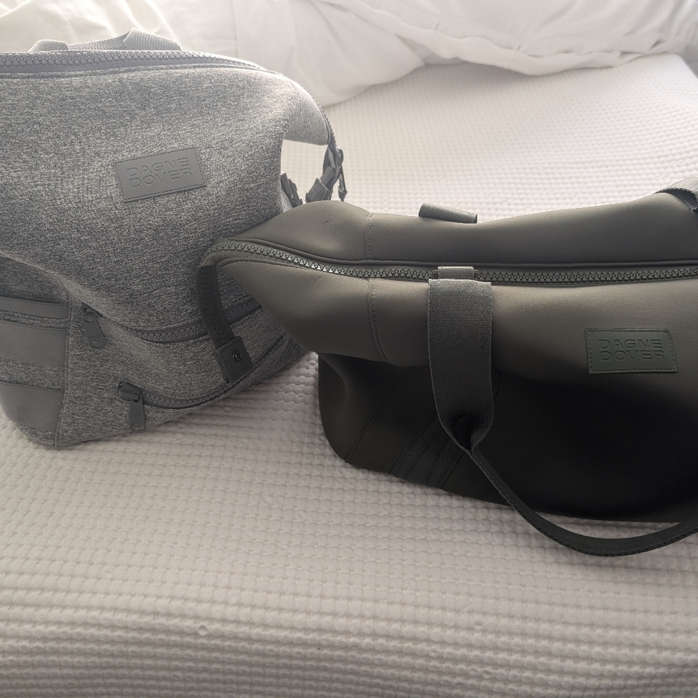 Dagne Dover Large Indie Gray and Large Langdon Microchip Set